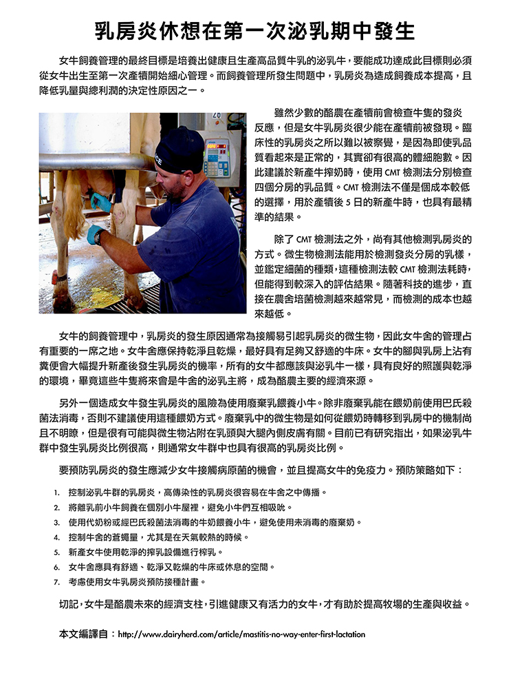 乳牛快速補充能量說明